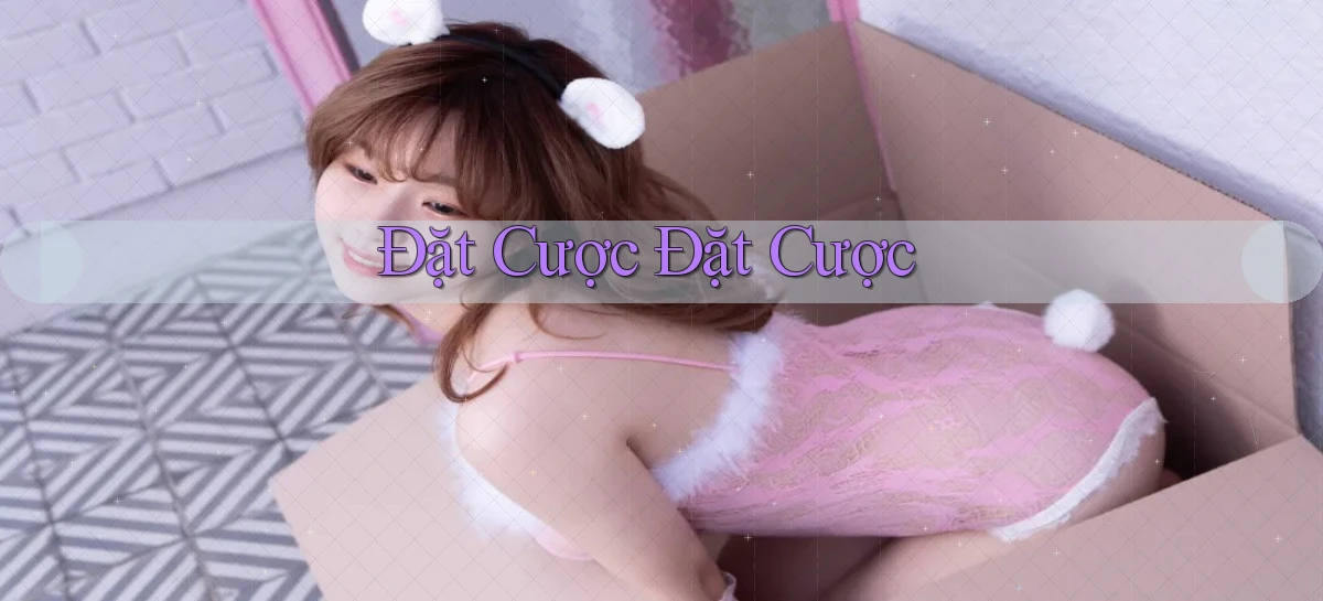 Đặt cược Đặt cược